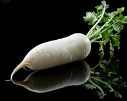 Image Navet