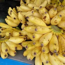 Image Banane Rio