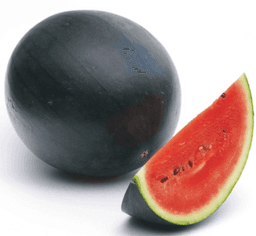 Image Pastèque