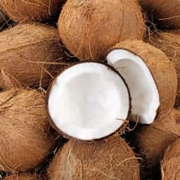 Image Coco