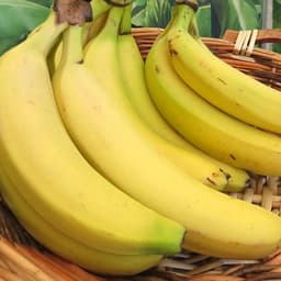 Image Banane Rio Hamoa
