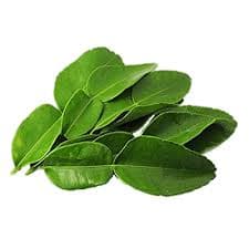 Image Divers plantes aromatiques et médicinales