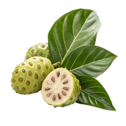 Image Divers plantes aromatiques et médicinales