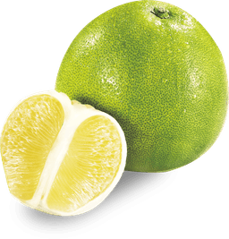 Image Pamplemousse
