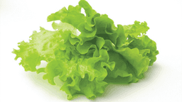 Image Salade